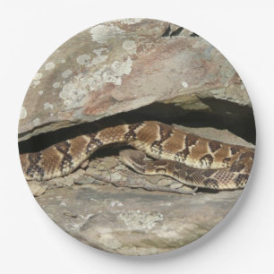 Prato De Papel Rattlesnake no Parque Nacional de Shenandoah