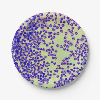 Prato De Papel rbcs wbcs slide laboratório microscópio hematologi