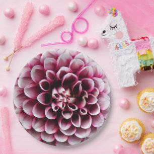 Prato De Papel Red and White Ball Dahlia Floral