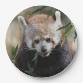 Prato De Papel Red_Panda_2015_0311