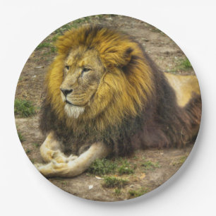 Prato De Papel Rei da placa de papel do jardim zoológico