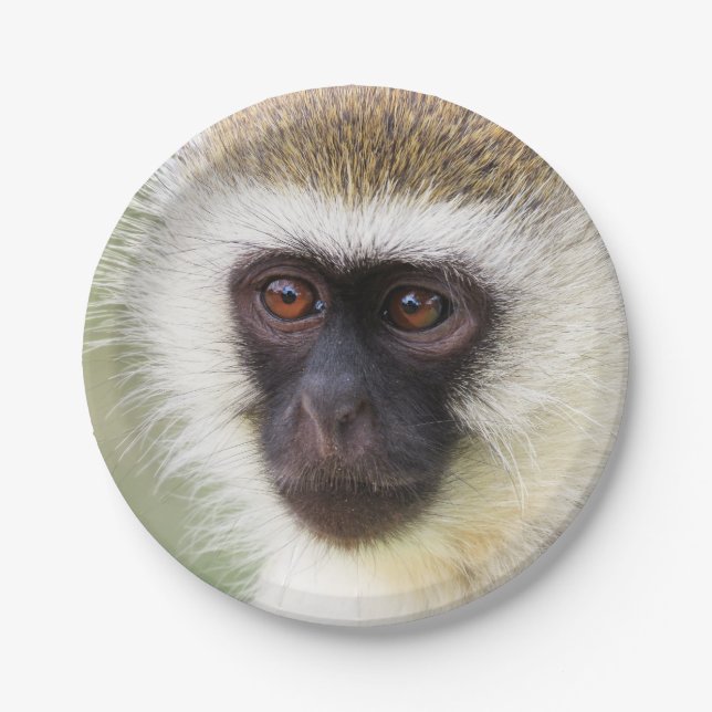 Prato De Papel Retrato bonito do macaco (Frente)