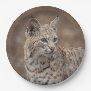 Prato De Papel Retrato de um Bobcat