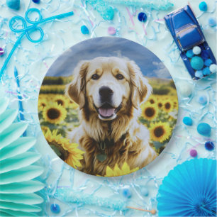 Prato De Papel Retriever de ouros em um Campo de Girassol