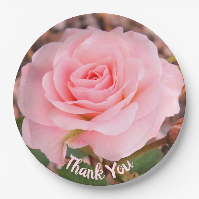 Prato De Papel Rosa Elegante Flor (Frente)