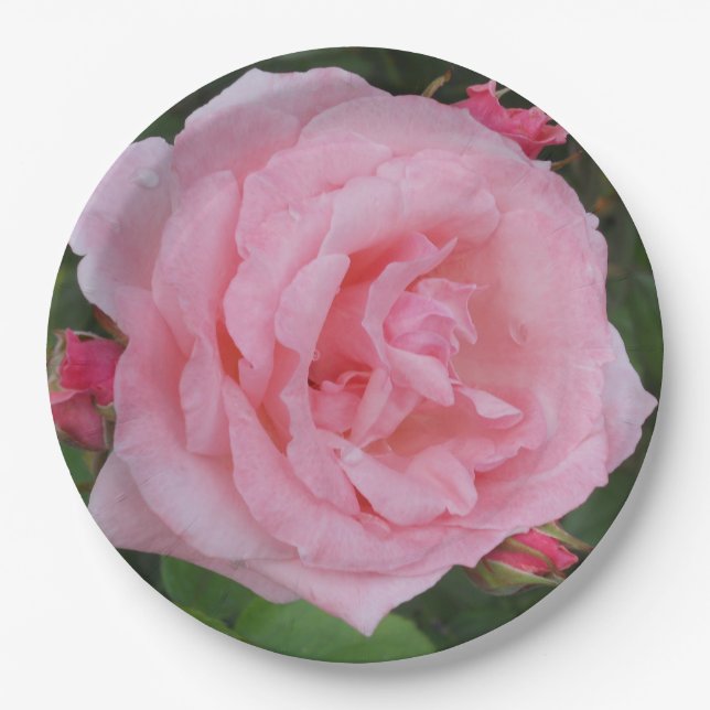 Prato De Papel Rosa rosa clássica (Frente)