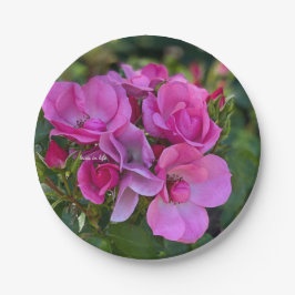 Prato De Papel Rosa Rosa Lavanda