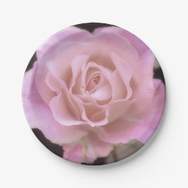 Prato De Papel Rosa rosa magnífica