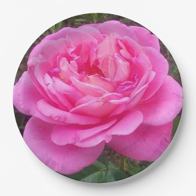 Prato De Papel Rosa Rosa Romântica 'Leonardo Da Vinci'    (Frente)