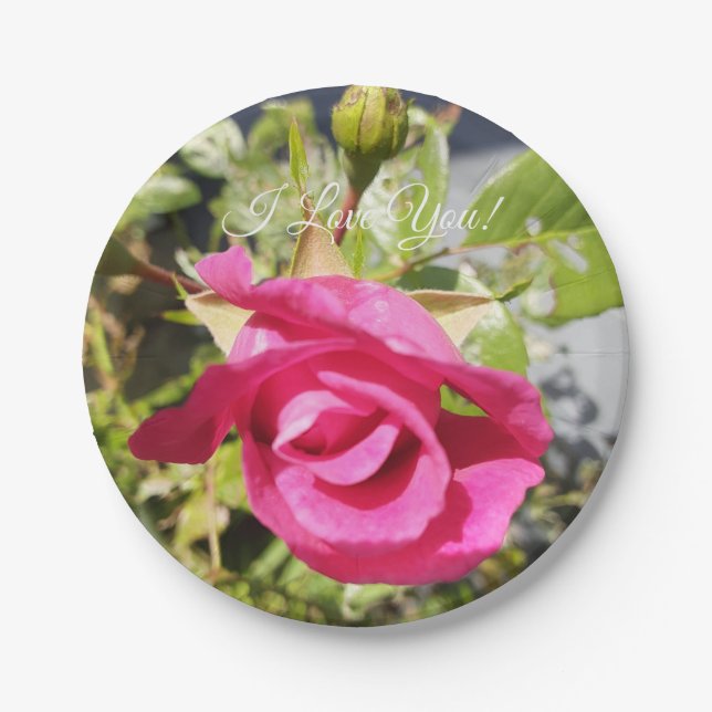 Prato De Papel Rosa Rosa Rosa Rosa Rosa #2 (Frente)