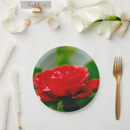 Prato De Papel Rosa vermelha de paixão coberta com gotas de orval