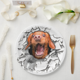 Prato De Papel Rosto engraçado de cachorro