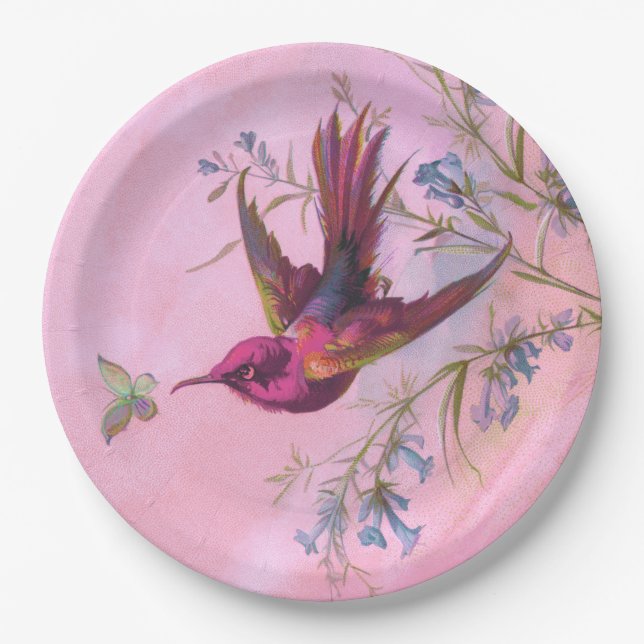 Prato De Papel Rosy Red Hummingbird (Frente)