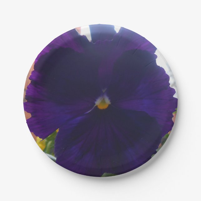 PRATO DE PAPEL S (Frente)