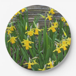 Prato De Papel Sangue de Daffodil Amarelo Floral