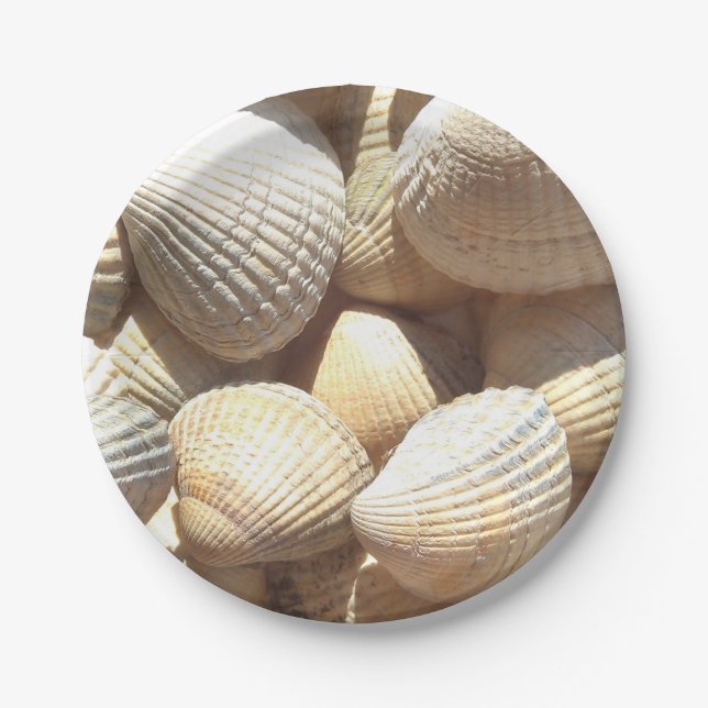 Prato De Papel Sea Shells Love, Summer Beach Picnic, Papel Plate (Frente)