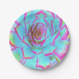 Prato De Papel Sedum Rosette Quente Rosa e Azul Suculente