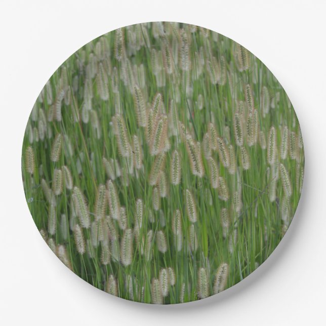 Prato De Papel Sementes De Grãos Verdes Altas (Frente)