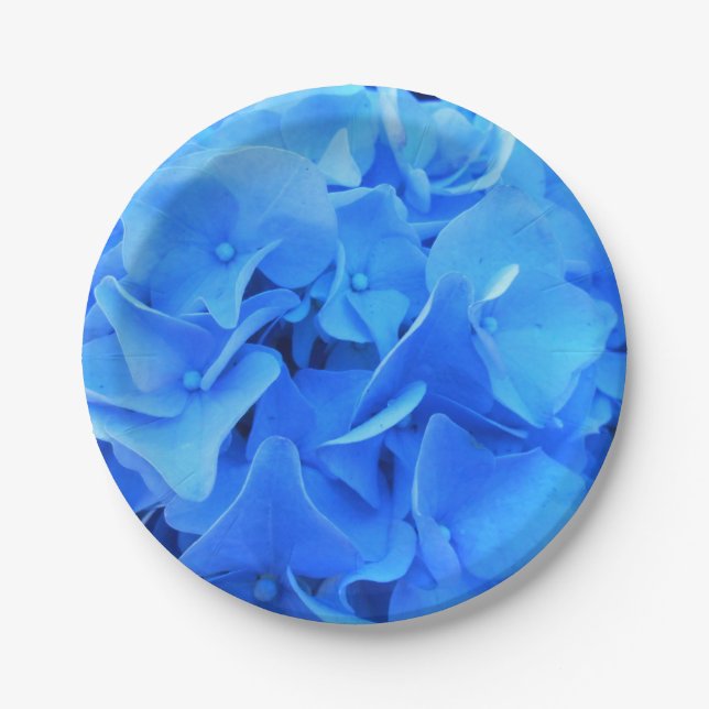 Prato De Papel Serafina (Frente)