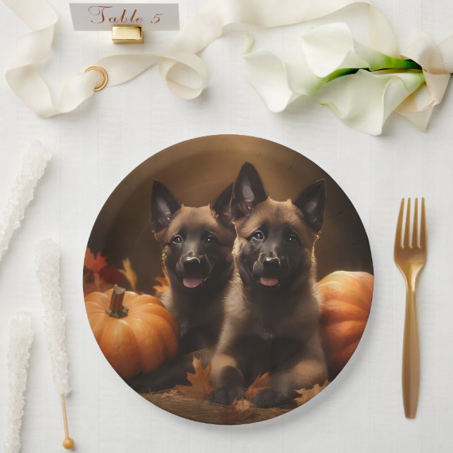 Prato De Papel Shepherd Belga Puppy Autumn Delight Pumpkin (Casamento)