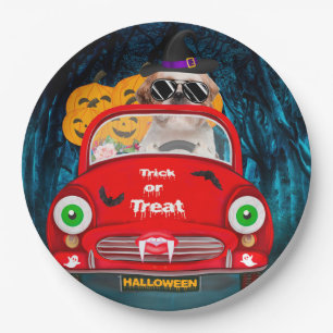 Prato De Papel Shih Tzu Dirigindo Carro Assustador Halloween