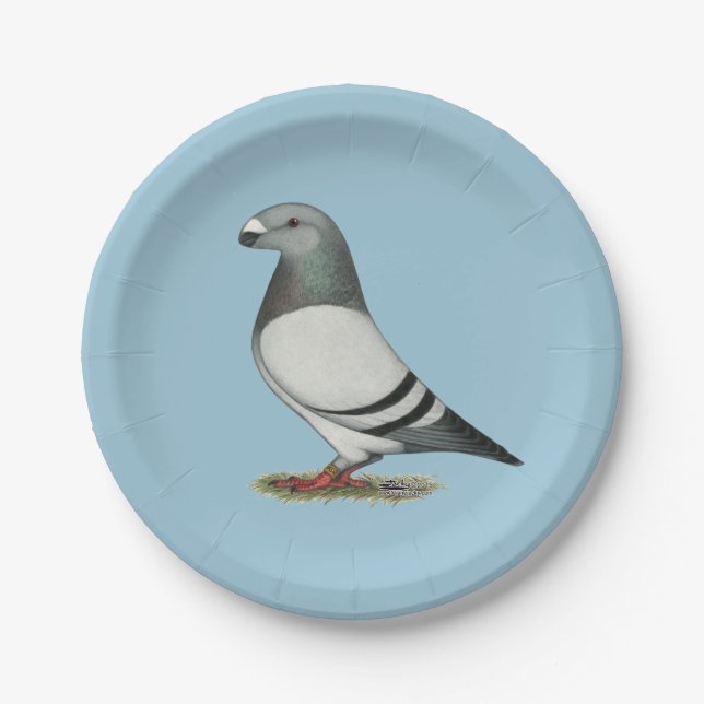 Prato De Papel Show Racer Blue Bar Pigeon (Frente)