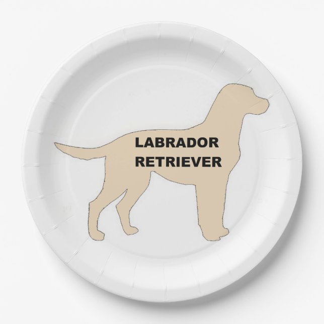 Prato De Papel Silhouette de nome amarelo LR (Frente)