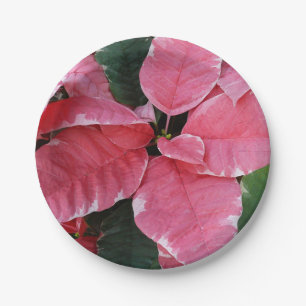 Prato De Papel Silver Star Marble Poinsettias Feriado Rosa Floral