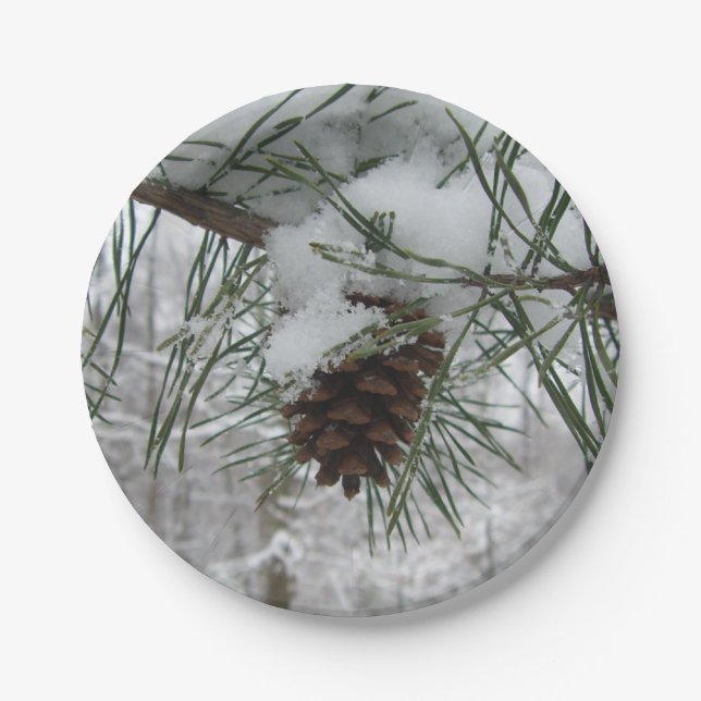 Prato De Papel Snowy Pine Branch Winter Nature Fotografia (Frente)