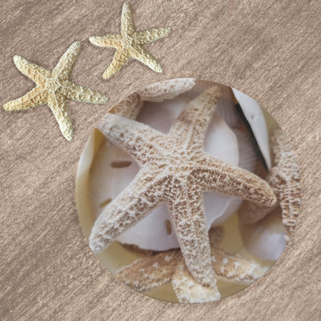 Prato De Papel Starfish e Sand Dollares Elegante (Criador carregado)