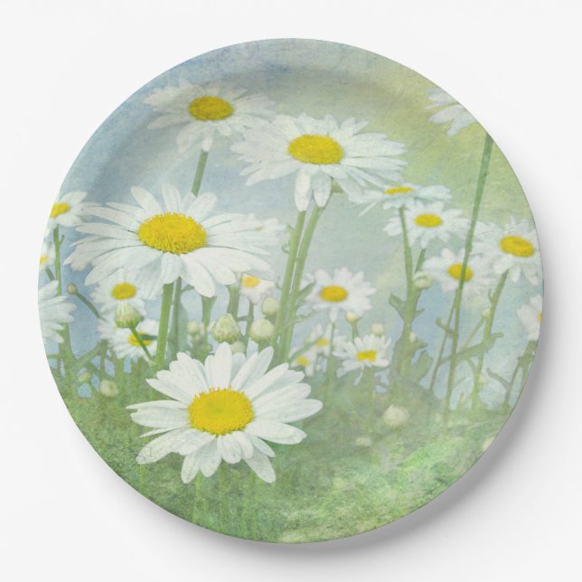 Prato De Papel Summer Daisy Field (Frente)