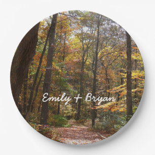 Prato De Papel Sunlit Fall Trail no Parque Estadual de Laurel Hil