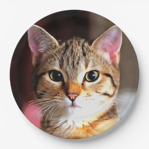 Prato De Papel Tabby Artístico Cat Kitten Retrato