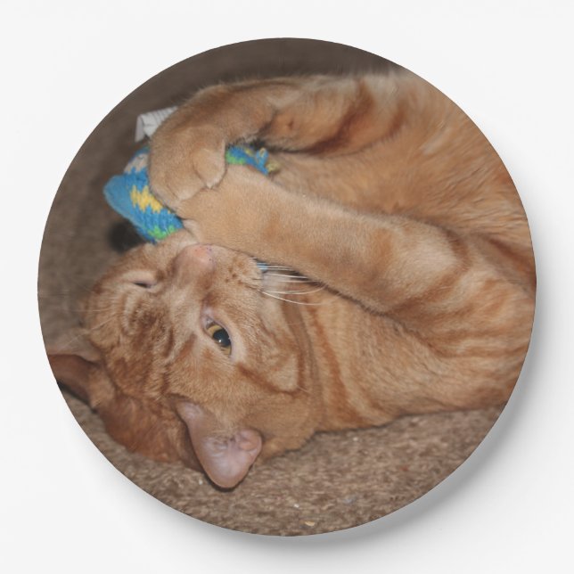 Prato De Papel Tater (Frente)