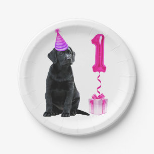 Prato De Papel Tema Da Cãozinha Do primeiro aniversario - Cachor