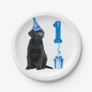 Prato De Papel Tema Da Cãozinha primeiro aniversario - Cachorro 