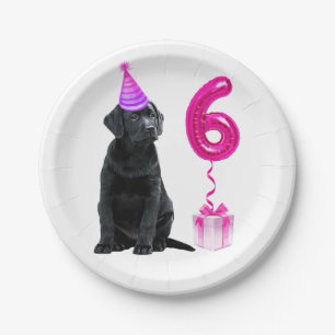 Prato De Papel Tema Da Papoila De 6 Aniversário- Garota Rosa De 