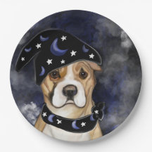 TERRIER STAFFORDSHIRE AMERICANO