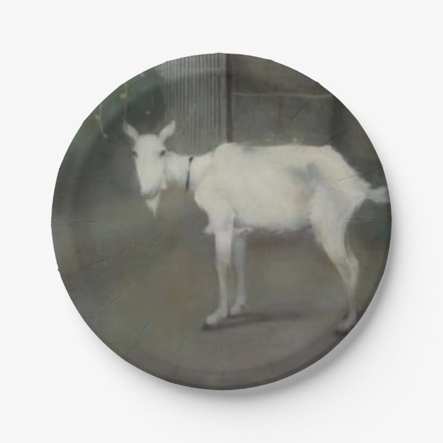 Prato De Papel The Old Goat (por Jan Mankes) (Frente)
