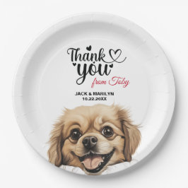 Prato De Papel Tibetano - espanhol