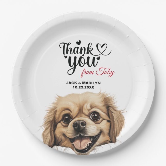 Prato De Papel Tibetano - espanhol (Frente)