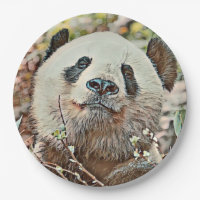 toony panda
