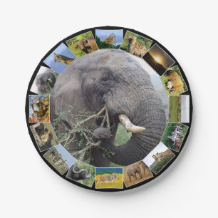 Prato De Papel Touro de Elefante de Foto de Vida Selvagem African