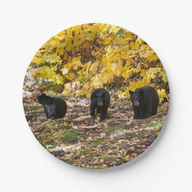 Prato De Papel Três Ursos (Frente)