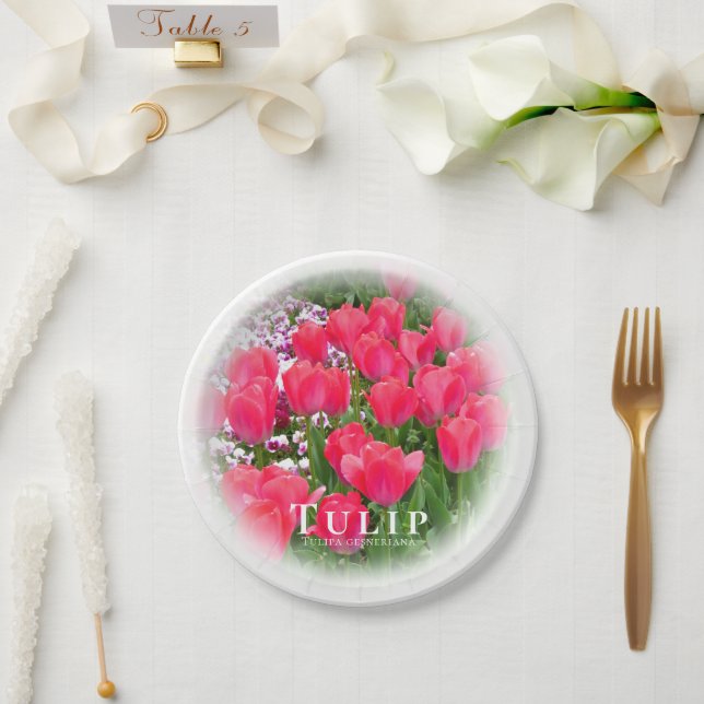 Prato De Papel Tulip (Casamento)
