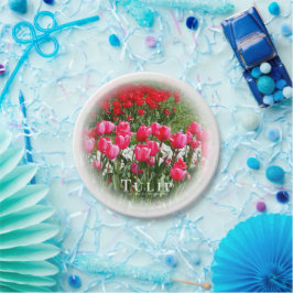 Prato De Papel Tulip