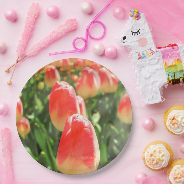 Prato De Papel Tulip Heaven Plate (Festa)