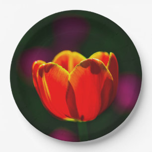 Prato De Papel Tulipa vermelha