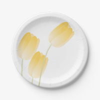 Tulipas amarelas Primavera Floral