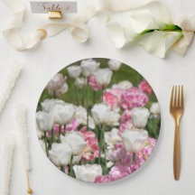 Tulipas brancas e cor-de-rosa brilhantes num dia e